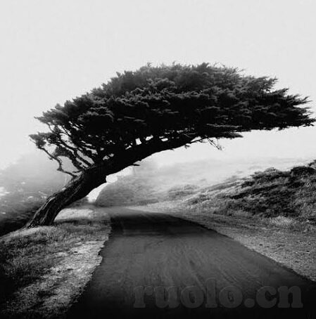 91麻豆国产精品自拍-91麻豆国产精品自拍，从创作模式到社交趋势的深度洞察