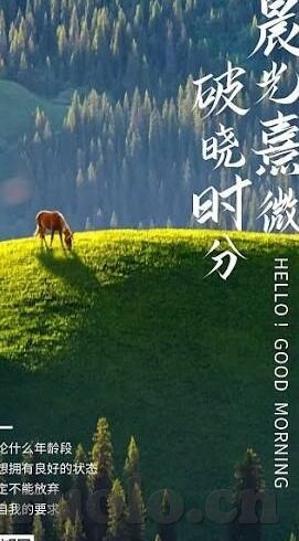 99精品一区二区三区-探索网络世界的多元选择，99精品一区、二区、三区的独特魅力
