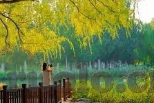 高校教师中文字幕在线观看-高校教师，在线学习新风尚的引领者