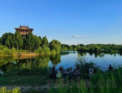精品视频一区二区三区免费-探索网络视频的多元化与免费资源，一区、二区、三区的精彩世界