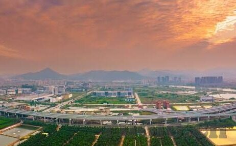 糖心果app-梦幻之旅，探索糖心果app的奇妙世界