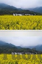 糖心vlog包子视频-糖心Vlog，揭秘美食之旅的独特魅力