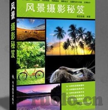 有码人妻-探索有码人妻的多元视角，爱与尊重的边界