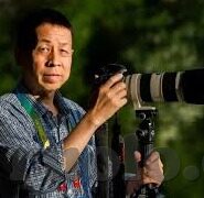 中文字幕在线精品视频入口一区-探索中文影视新境界，解锁一区中文字幕在线精品视频的魅力